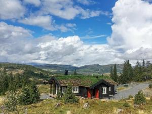 Svingvoll6 person holiday home in Svingvoll的田野上带绿色屋顶的小房子