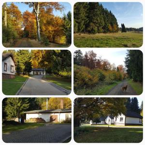 SeligenthalFerienpark Ebertswiese的一组四幅不同房屋和树木的照片