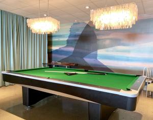 普罗温斯敦普洛海港大酒店的一张带绘画的台球桌