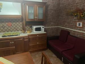 卡塔尼亚Airport Tourist's Home的一间带沙发和微波炉的小厨房