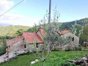 维拉Casa Martino的绿色田野上红色屋顶的房子