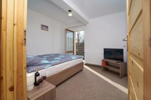 卡尔帕奇Apartamenty Berg Karpacz的一间卧室配有一张床、一个浴缸和一台电视。