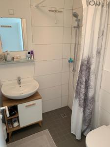 莱因费尔登-埃希特尔丁根1-Zi. Apartment, Echterdingen bei Flughafen/Messe Stgt.的浴室配有淋浴帘和盥洗盆。