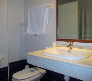 AlboreaHostal Artiga的一间带水槽、卫生间和镜子的浴室