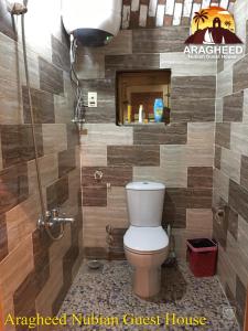 阿斯旺Nubian Kingdom Aragheed House的一间带卫生间和瓷砖墙的浴室
