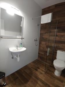 滨湖波德斯多夫PROMENADE的浴室配有卫生间、盥洗盆和淋浴。