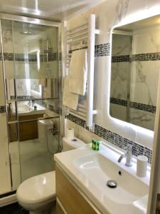 滨海图维列Charmant Duplex Trouville-Deauville的一间带水槽、卫生间和镜子的浴室