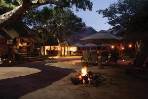 Tembe Elephant Park Lodge外面的花园