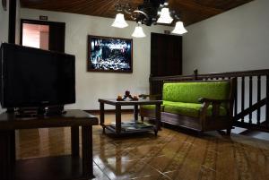 SalaminaHospedaje Casa Real的客厅配有绿色沙发和电视