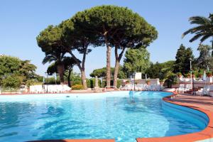 伊斯基亚温泉御苑酒店的一座树木环绕的大型游泳池