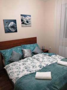 塞格德Olga Apartman的一间卧室配有一张床和两个枕头