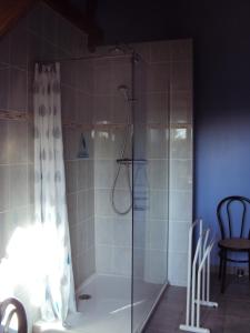 Mur-de-SologneLa Halte de Chambord的带淋浴的浴室和玻璃门