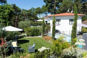 卡普费雷Ferret Vigne - Villa Chambres d'Hôtes的一个带游泳池和房子的花园