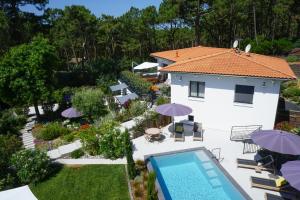 卡普费雷Ferret Vigne - Villa Chambres d'Hôtes的享有带游泳池的房屋的空中景致