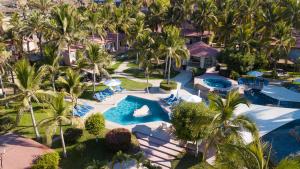 雪松山Buena Vista Oceanfront & Hot Springs Resort的享有棕榈树和游泳池度假村的空中景致