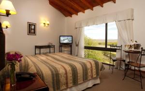 埃尔卡拉法特内华达雪山酒店的一间卧室设有一张床和一个大窗户