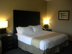 Lake ElmoHoliday Inn St. Paul Northeast - Lake Elmo, an IHG Hotel的酒店客房设有一张大床和两盏灯。