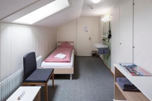 格林德尔瓦尔德少女峰小屋基本客房旅馆的小房间设有床和水槽