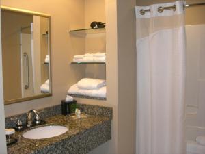 Lake ElmoHoliday Inn St. Paul Northeast - Lake Elmo, an IHG Hotel的浴室配有水槽和带浴帘的淋浴