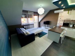 萨尔瓦尔INTRO Apartman的厨房以及带沙发和桌子的客厅。