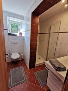安纳贝格-伦格茨Ferienwohnung Hirscher的一间带卫生间和淋浴的小浴室