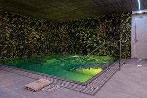 卡斯塔涅托卡尔杜奇Podere Vignanova Rooms & SPA的绿色墙壁的房间内的游泳池