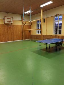 Sjugare Gård Bed & Breakfast内部或周边的网球和/或壁球设施