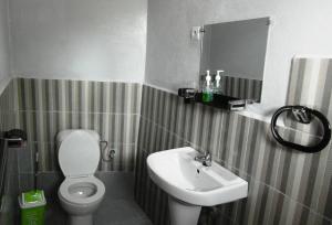 菲亚纳兰楚阿Three Palms Fianar的一间带水槽、卫生间和镜子的浴室