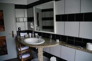 文西德尔Hotel Berggasthof Waldlust的一间带水槽和镜子的浴室