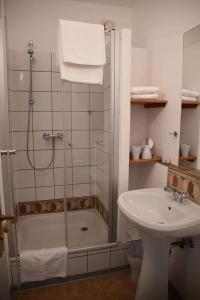文西德尔Hotel Berggasthof Waldlust的带淋浴、盥洗盆和卫生间的浴室