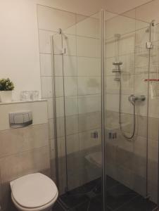 艾克林根Pröve Hof的一间带卫生间和玻璃淋浴间的浴室
