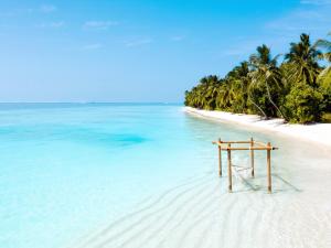 Gaafu Dhaalu Atoll马尔代夫阿雅达度假村的相册照片