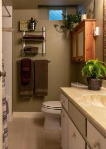 北温哥华The Secret Garden Treehouse的一间带卫生间和水槽的浴室