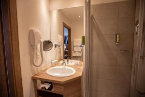 萨尔茨堡Hotel Elefant Family Business的一间带水槽和淋浴的浴室