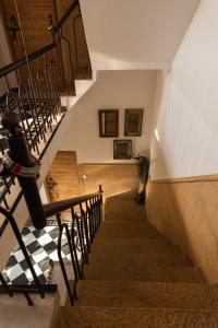 斋沙默尔秘密之家成人酒店的一座楼里的楼梯,旁边是一只猫