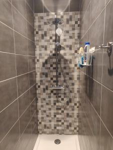 巴约讷Appmt Cosy 2 pièces - Haut Standing的浴室内配有淋浴和头顶淋浴