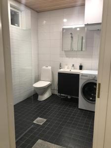 卡拉约基Meren tuoksu的浴室配有卫生间、盥洗盆和洗衣机。