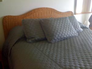 普林斯维尔普林斯维尔海滨D-4单元度假屋的一张带两个蓝色枕头的床