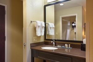 默里迪恩麦迪恩/博伊西昆塔套房酒店的一间带水槽和镜子的浴室