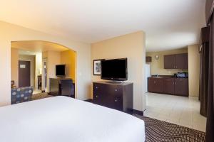 默里迪恩麦迪恩/博伊西昆塔套房酒店的配有一张床和一台平面电视的酒店客房