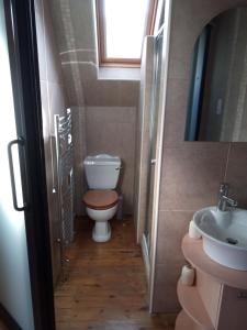 谢菲尔德Rose Cottage studio的一间带卫生间和水槽的小浴室