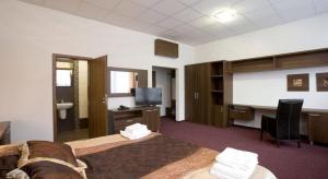 塞尼察Garni Hotel Branč的客房设有一张床和一台平面电视。