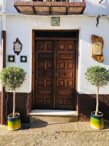 乌贝达La Casa del Alfarero - Mejor Villa Sostenible de Europa的门前有两棵盆栽的树