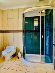特卡波湖蒂卡波高地的一间带卫生间和玻璃淋浴间的浴室