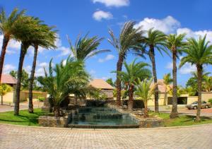 格兰贝伊Oasis 1 Villa Tropicale的一座别墅前方的棕榈树游泳池
