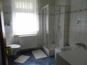 萨克森自由州诺伊斯塔滕Ferienwohnung Karlguth的带淋浴、卫生间和盥洗盆的浴室