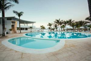 拉古纳Apartamentos y habitaciones sol dominicus SOLO ADULTOS的一座棕榈树大型游泳池和一座建筑