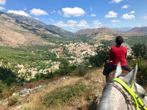 科尔特阿布杜住宿加早餐旅馆的一名在俯瞰城市的山丘上骑马的女人