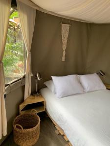 迪坡斯特兰豪斯特德拉卢斯 - 豪丽思缇客Spa度假酒店的一间卧室设有一张床和一个窗口