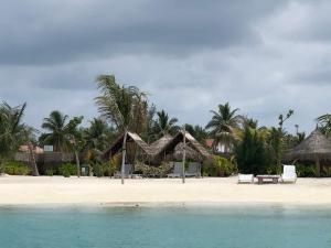 GaafaruOld Town Inn Maldives的海滩上设有椅子和遮阳伞,棕榈树